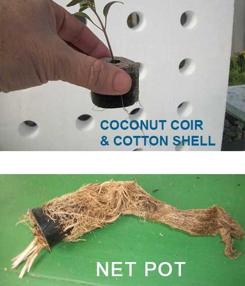 coir and cotton mesh growing medium