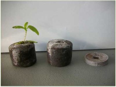 PFC-Aquaponic-Grow-Puck